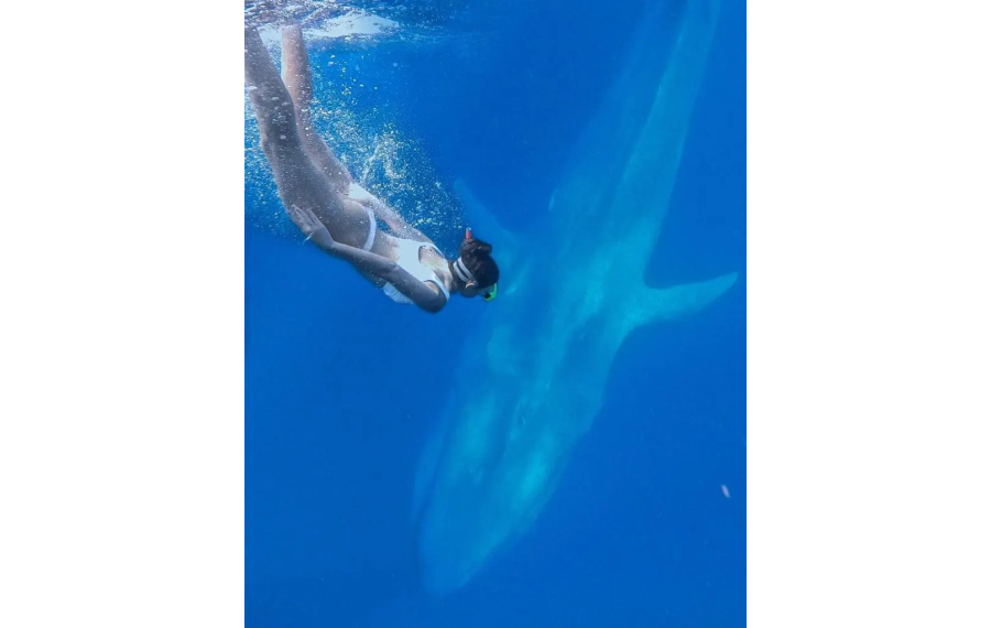 Snorkeling con le balene a Mirissa