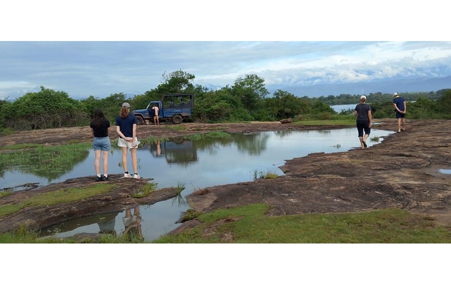 Safari nel Parco Nazionale di UdawalaweSriLanka