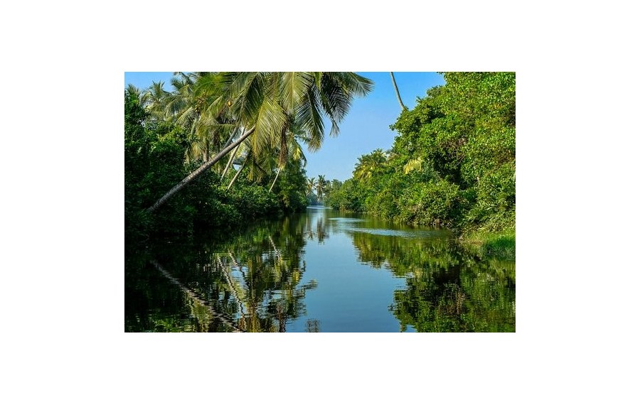 Sri Lanka estivi imperdibili250,00 €Home